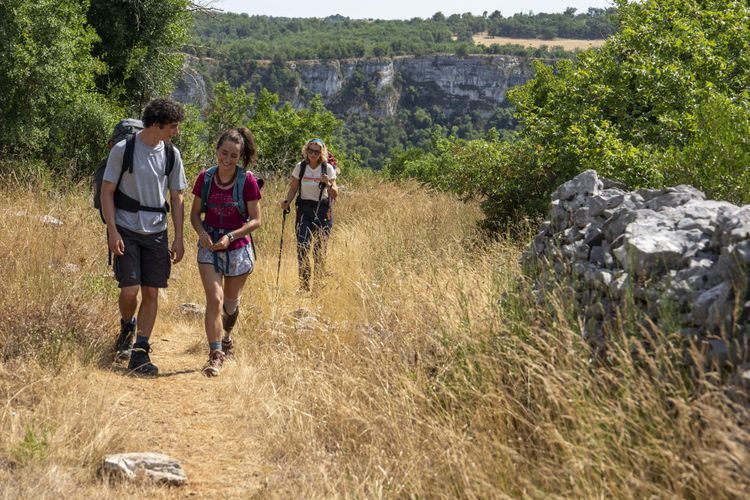 Die Camino-Therapie – Finde deinen Weg