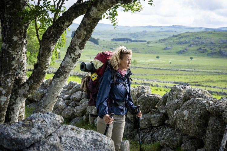 Die Camino-Therapie – Finde deinen Weg