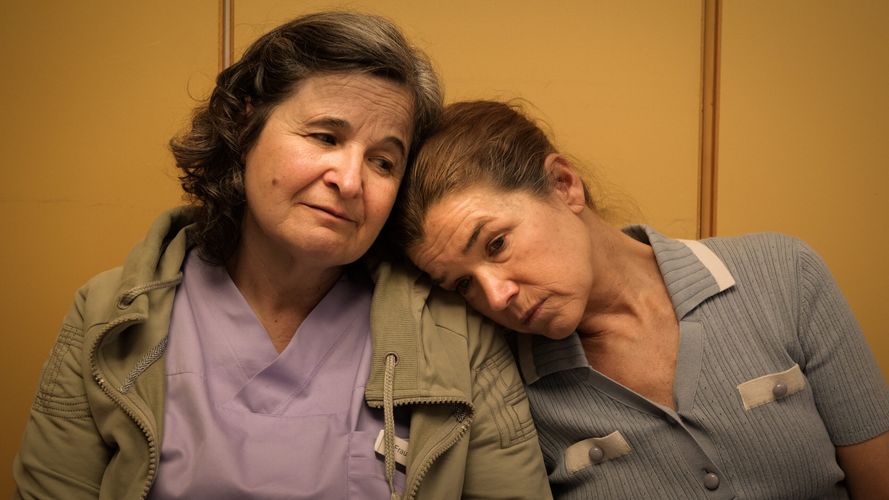 Dann passiert das Leben