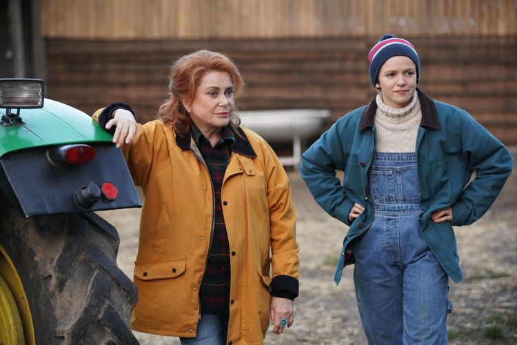 Funny Birds - Das Gelbe vom Ei