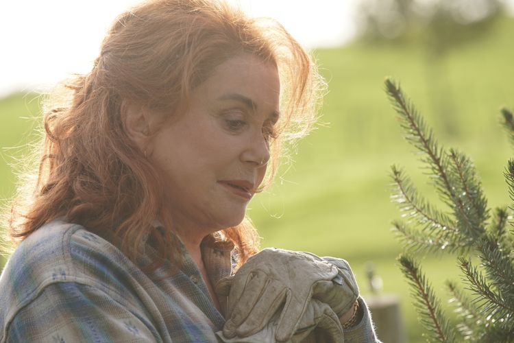 Funny Birds - Das Gelbe vom Ei