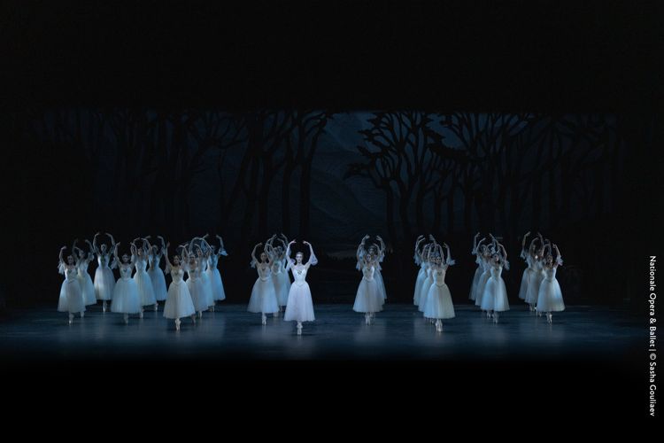 Giselle: Dutch National Ballet