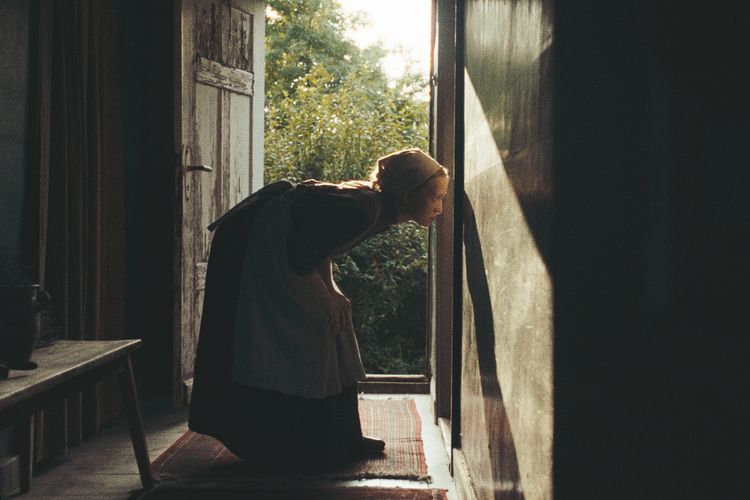 In die Sonne schauen