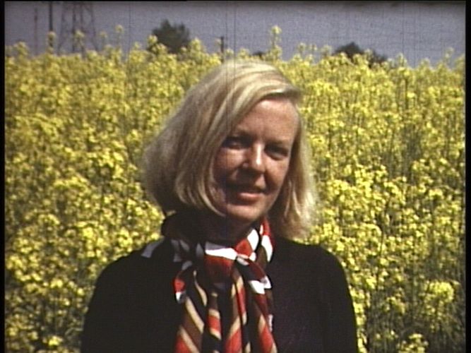 Ingeborg Bachmann: Jemand, der einmal ich war