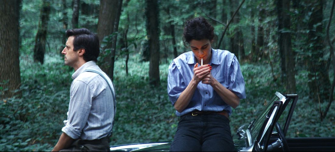 Jane Austen und das Chaos in meinem Leben