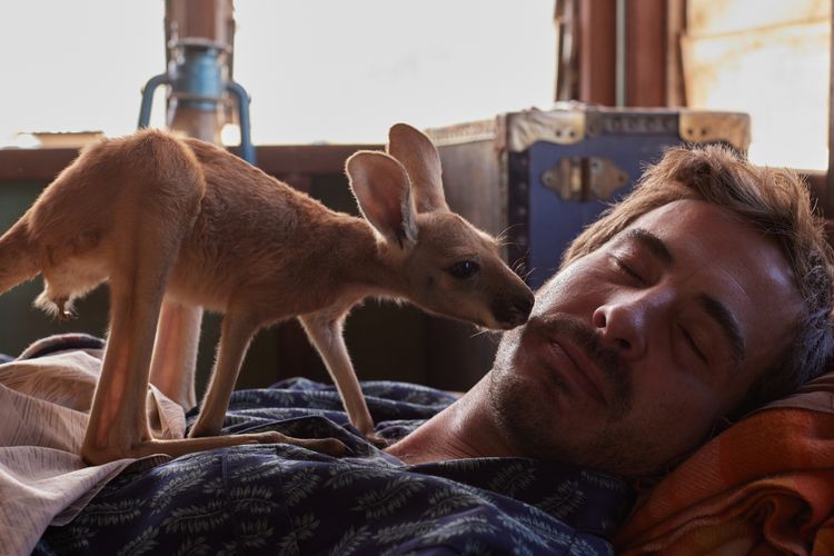 Lilly und die Kängurus