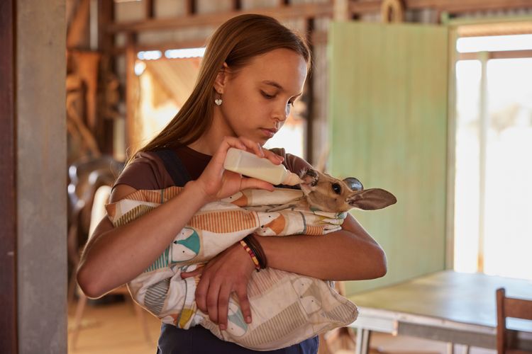 Lilly und die Kängurus
