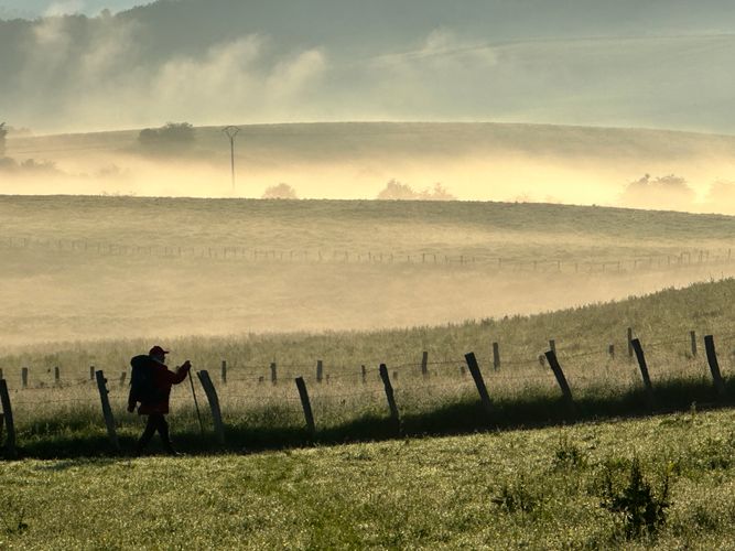 MEIN WEG - 780 km zu mir