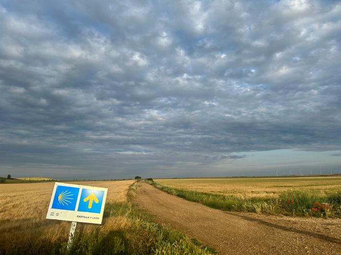 MEIN WEG - 780 km zu mir