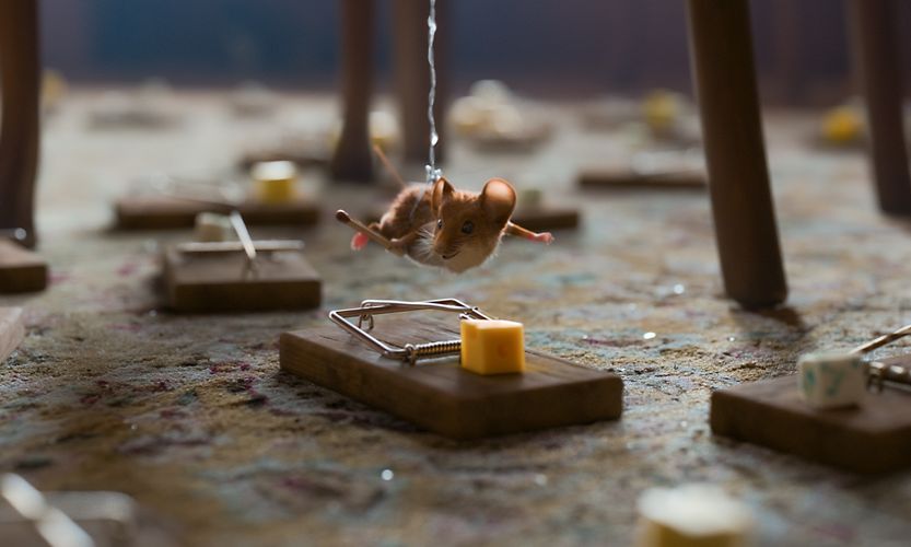 Mission Mäusejagd: Chaos unterm Weihnachtsbaum