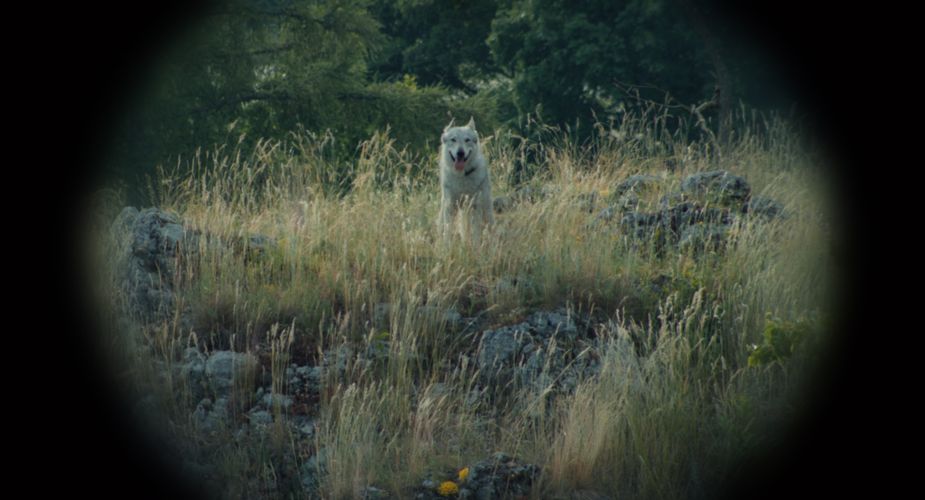 Nebelkind - The End of Silence