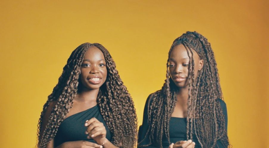 Noch lange keine Lipizzaner