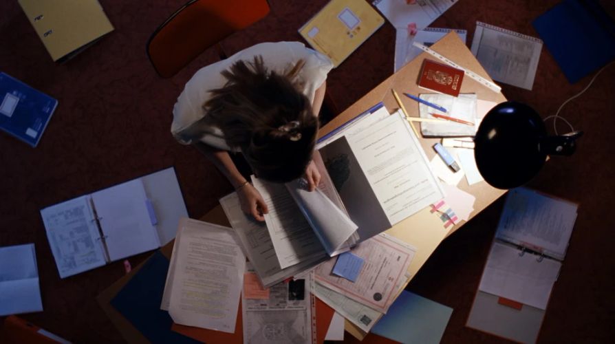 Noch lange keine Lipizzaner