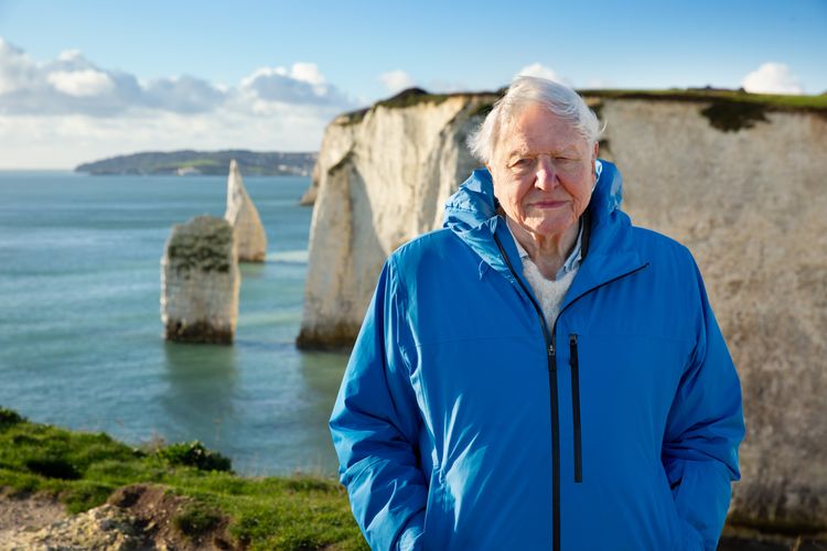 OZEAN mit David Attenborough OmU