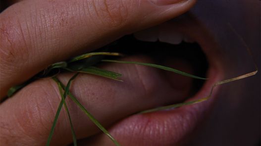 "Wuthering Heights" – Sturmhöhe