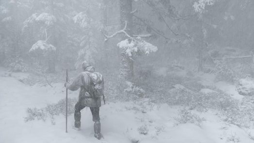 Das Flüstern der Wälder