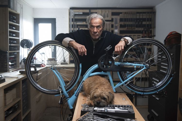 Ein fast perfekter Antrag