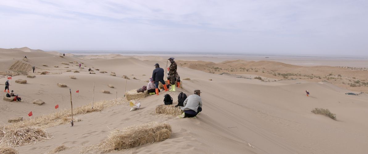 Elements Of(f) Balance