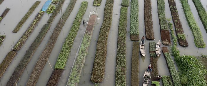 Elements Of(f) Balance