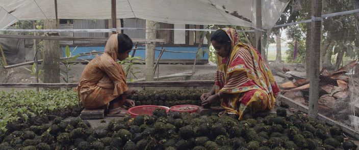 Elements Of(f) Balance