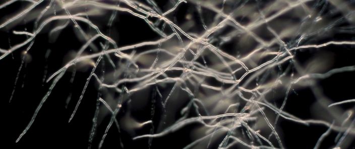 Elements Of(f) Balance