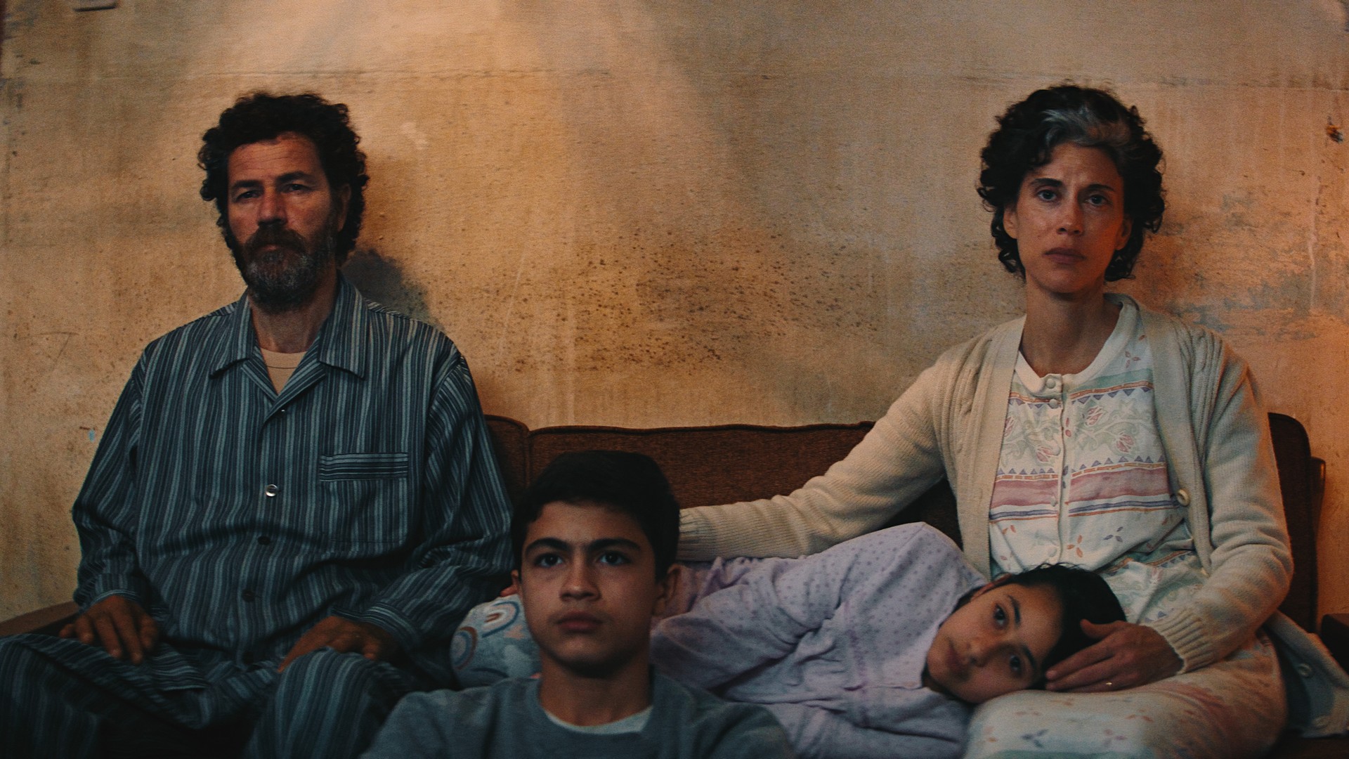 Im Schatten des Orangenbaums