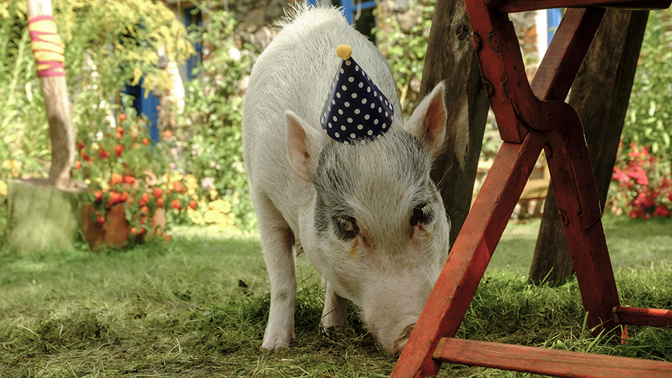 Lassie - Ein neues Abenteuer
