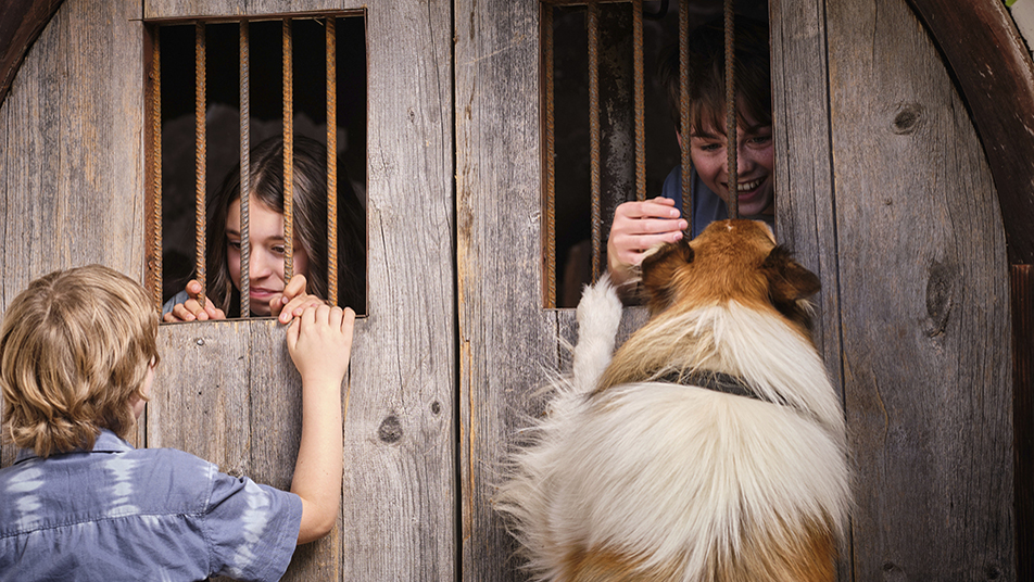 Lassie - Ein neues Abenteuer