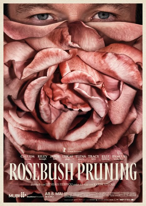 Rosebush Pruning Poster