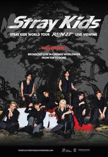 Artwork for Stray Kids World Tour LIVE VIEWING