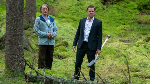 Therapie für Wikinger