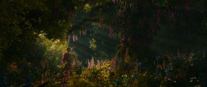 Der Wunderweltenbaum