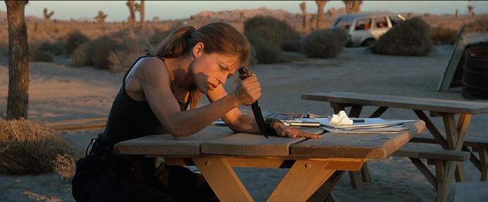 Terminator 2 – Tag der Abrechnung, 35 Jahre Jubiläum