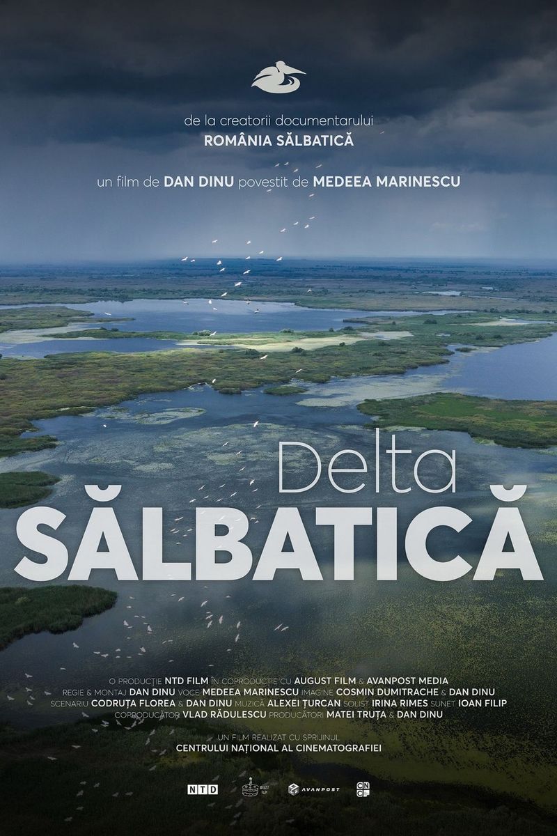 Delta sălbatică